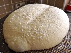 basic white bread recipe basic white bread recipe