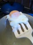 Poached Eggs